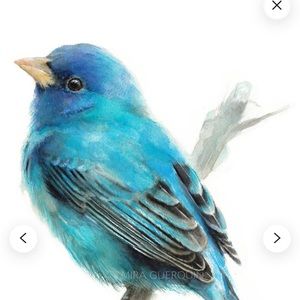 Meet your Posher, Katy